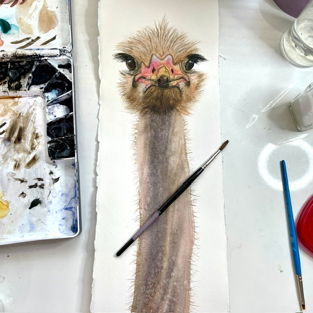 OLLIE | Ostrich Portrait Painting