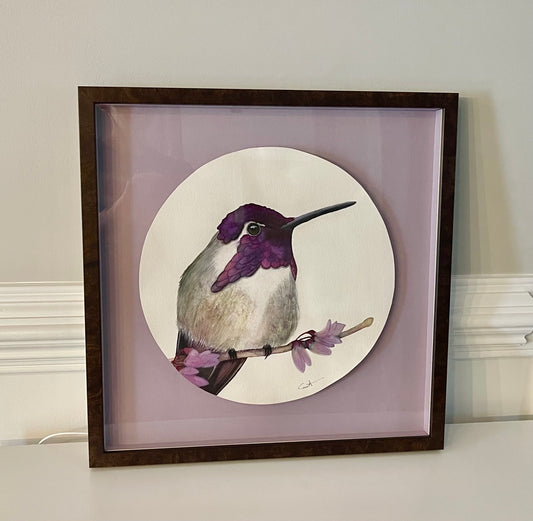ROYAL JEWEL | Costa's Hummingbird Art | Original Watercolor Painting