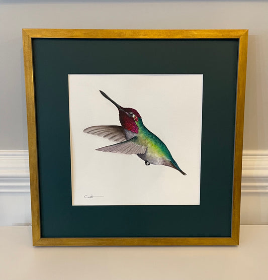 SUNRISE RUBY | Ruby-Throated Hummingbird Art | Original Watercolor Painting