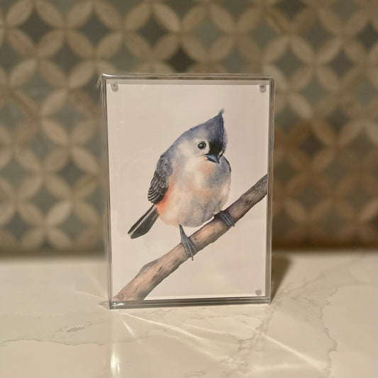 Tufted Titmouse Watercolor Art in Acrylic Block Frame – 5x7 Fine Art Print