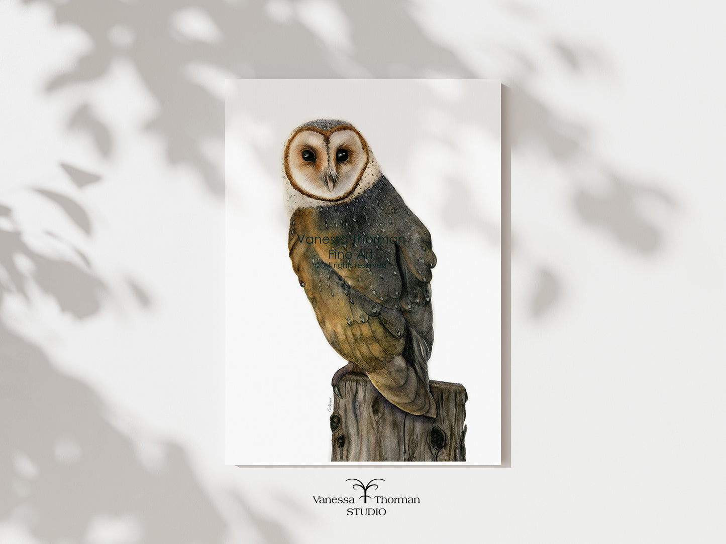 Barn Owl watercolor art print by Vanessa Thorman, unframed