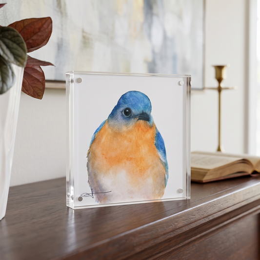 Bernard the bluebird acrylic block desk art Standing upright on a mantel