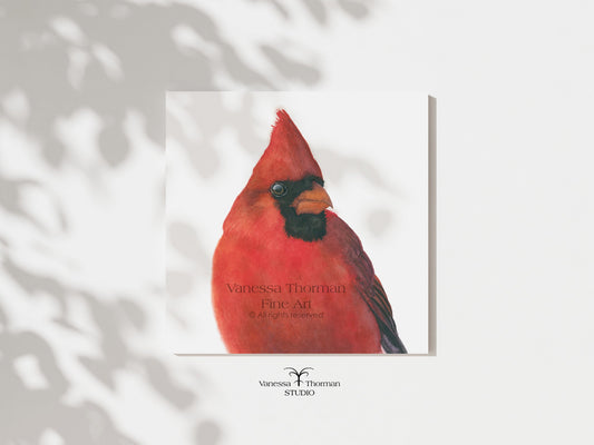 "Charles," a close-up Northern Cardinal watercolor art print by Vanessa Thorman, unframed