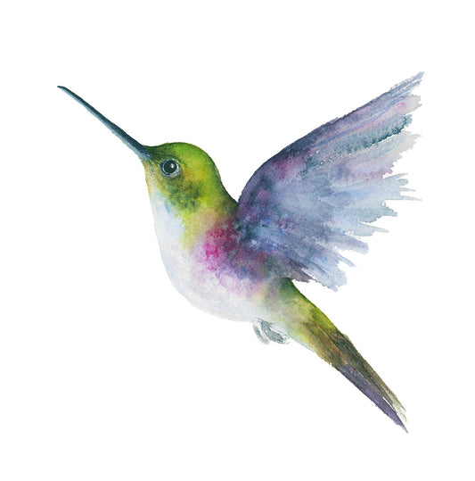 Hummingbird in flight watercolor art print by Vanessa Thorman, detailed view