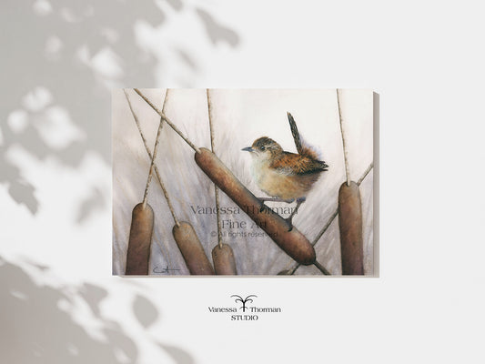 Marsh Wren watercolor art print by Vanessa Thorman, unframed