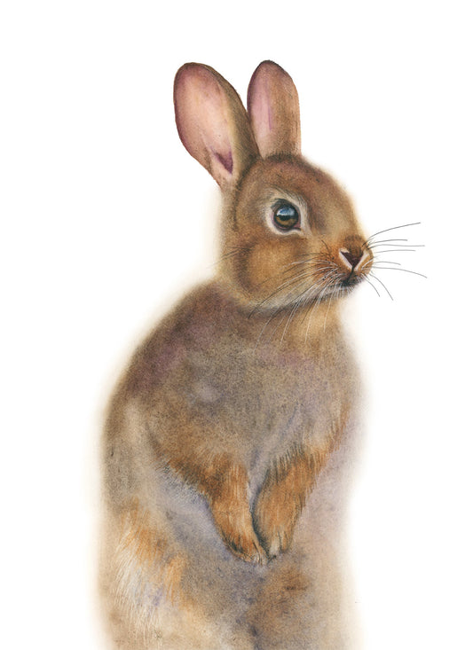 "Nutmeg the Bunny" watercolor art print by Vanessa Thorman, detailed view