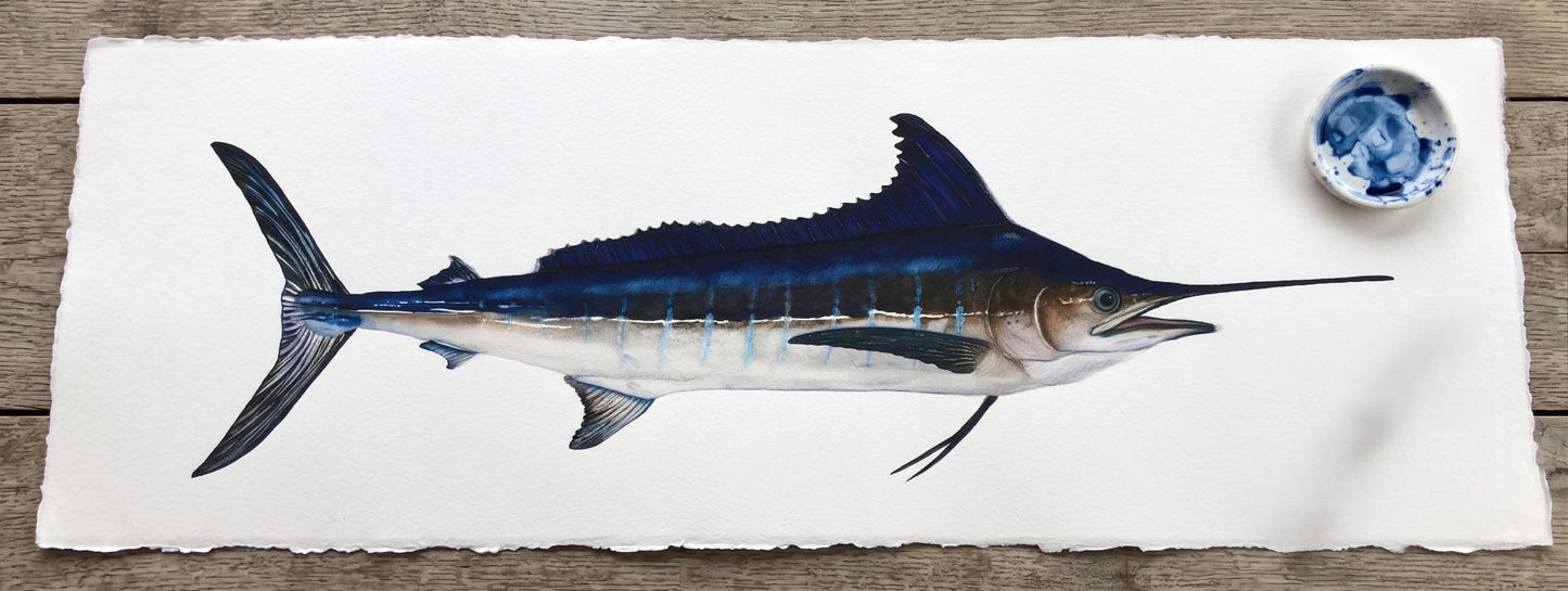 A watercolor painting of an Atlantic Blue Marlin on a large sheet of watercolor paper with deckled edges.