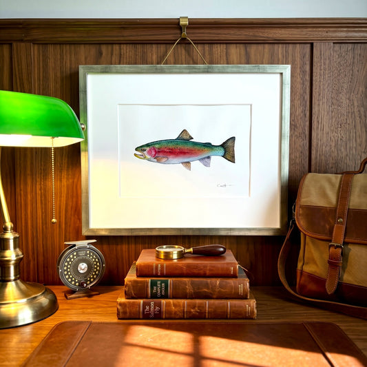 A framed watercolor painting of a rainbow trout by Vanessa Thorman hanging on a dark wood-paneled wall above a desk.