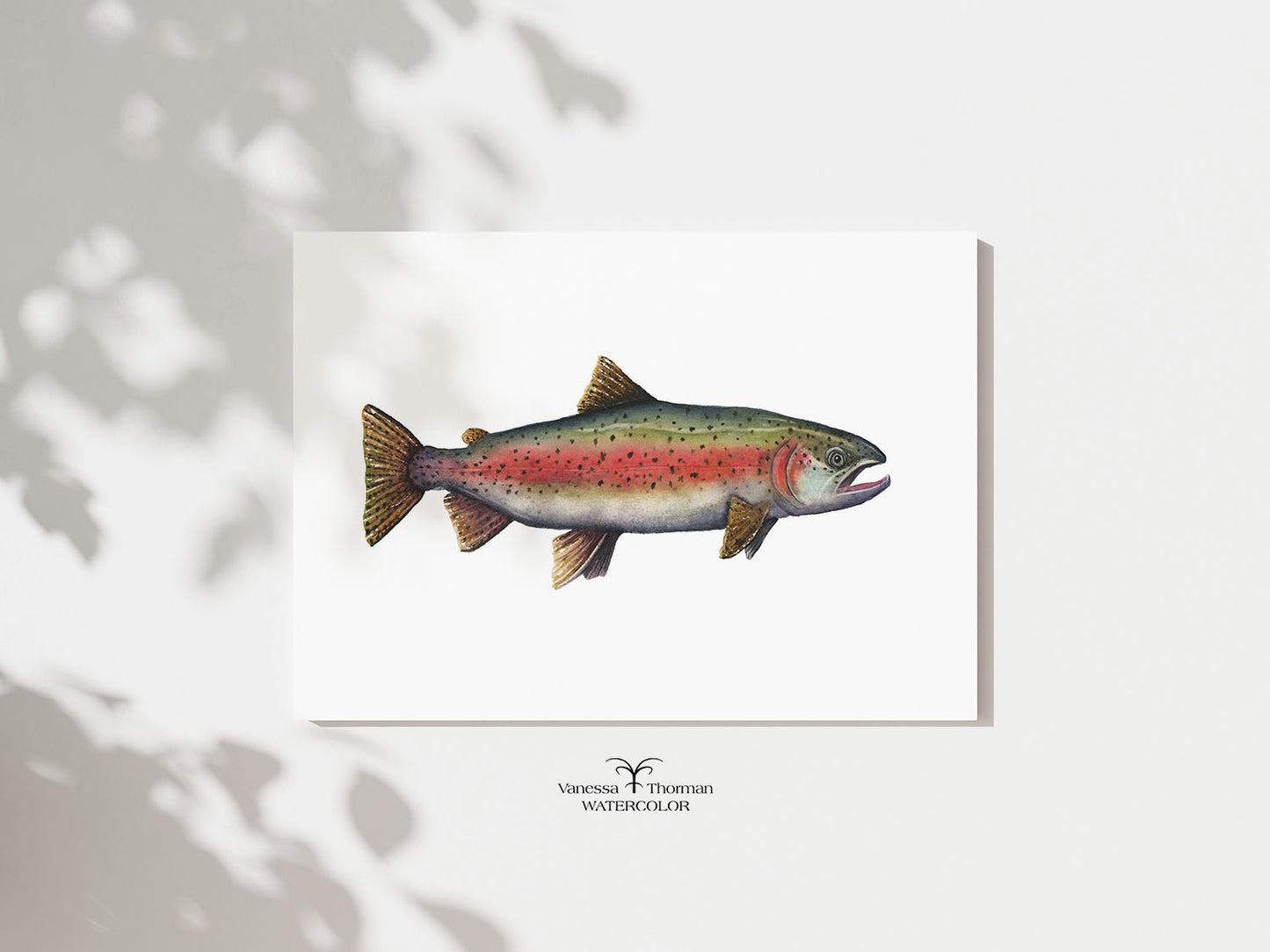 Rainbow Trout watercolor art print with a white background
