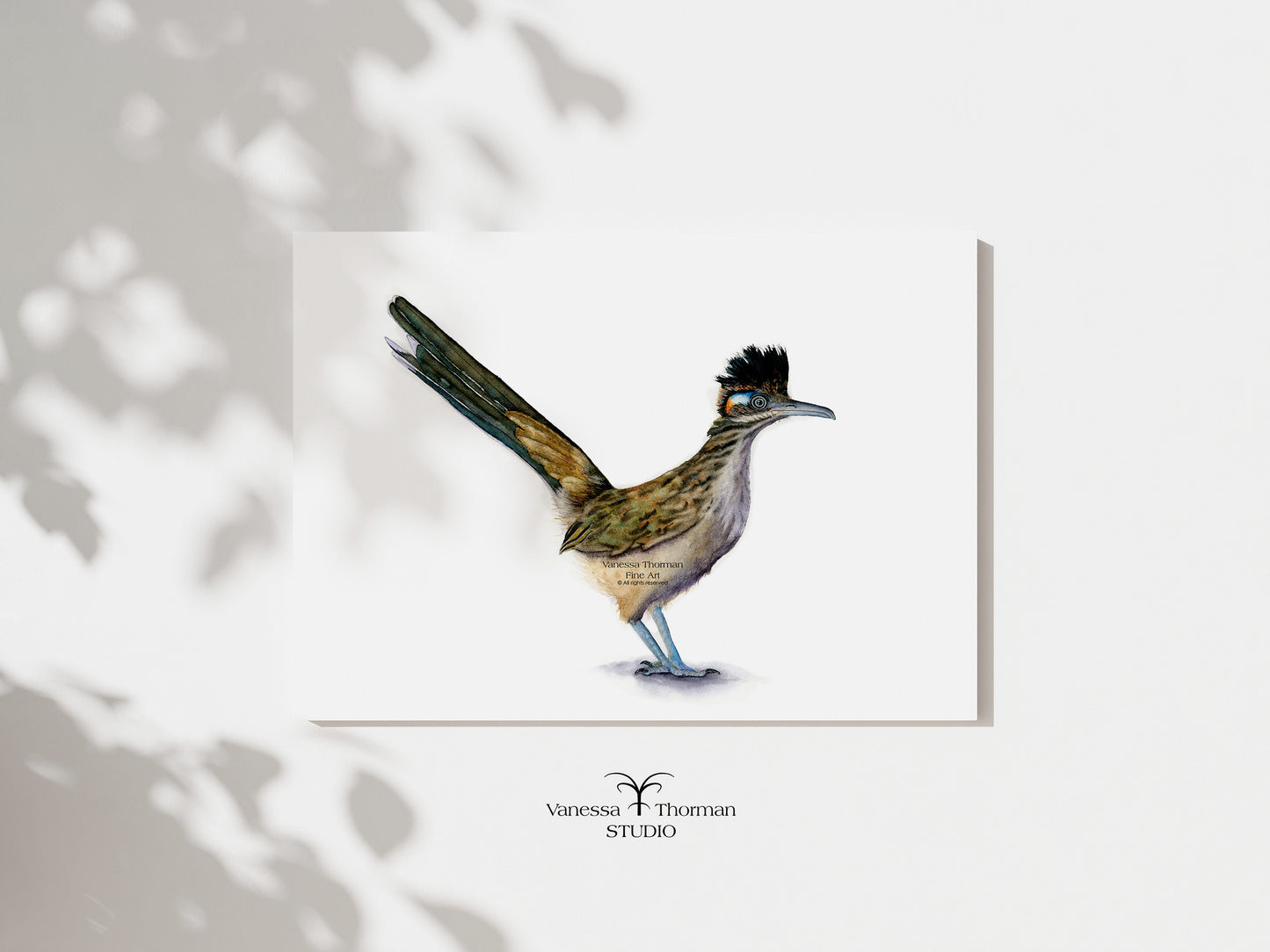 Roadrunner watercolor art print with a white background