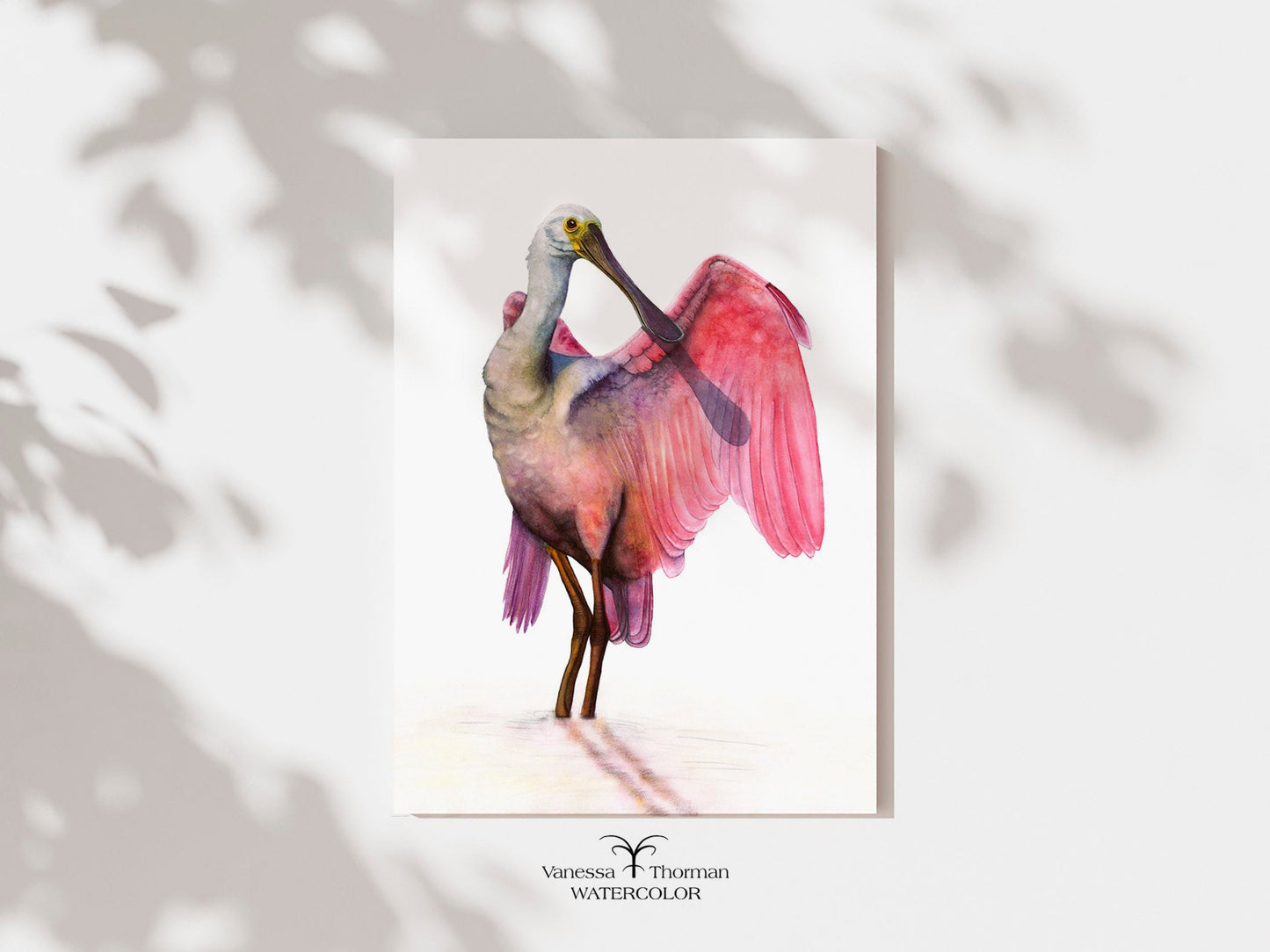 Detail view of "Pretty in Pink" Roseate Spoonbill watercolor art print by Vanessa Thorman