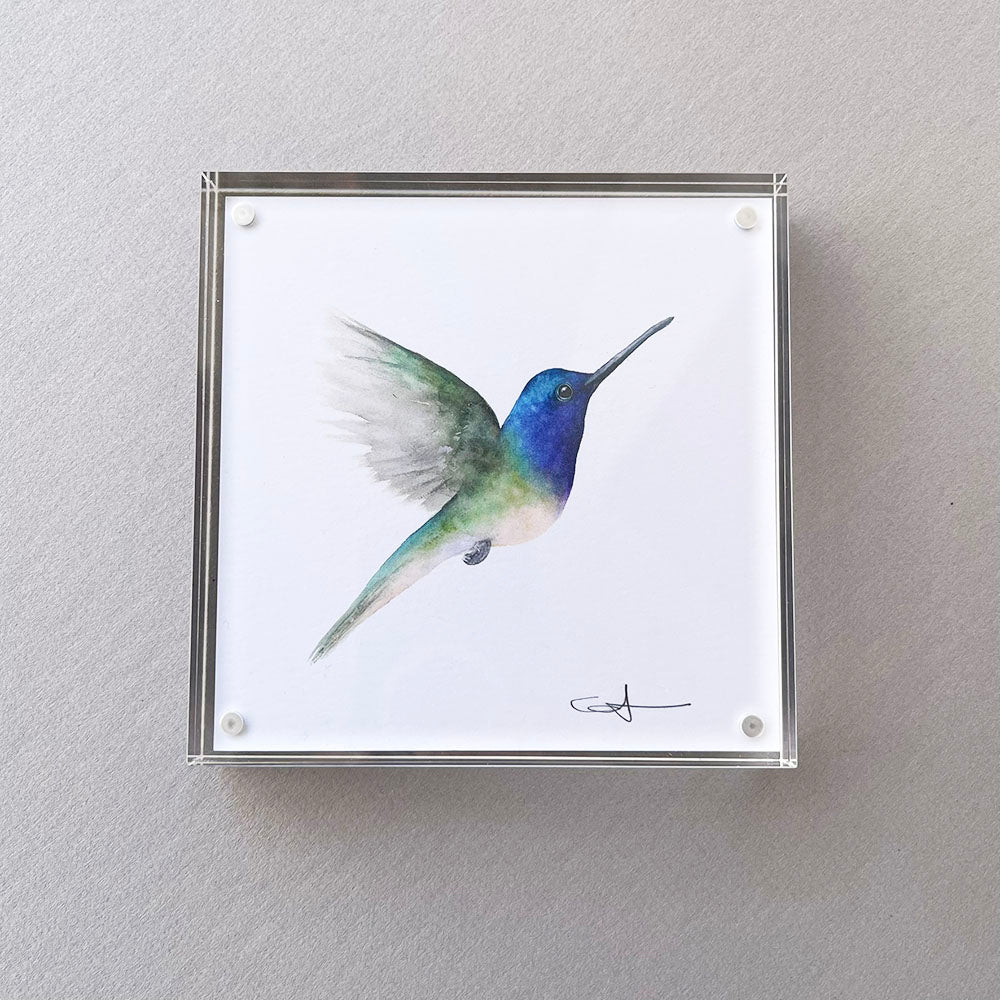 Framed dek art of a hummingbird on a gray background