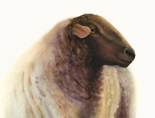 "Theo" golden sheep watercolor art print by Vanessa Thorman