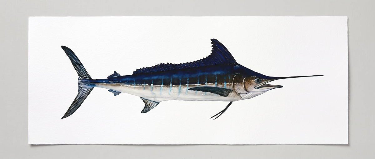 Blue Marlin Watercolor Art Print — Off the Hook, Deep Sea Fishing Decor