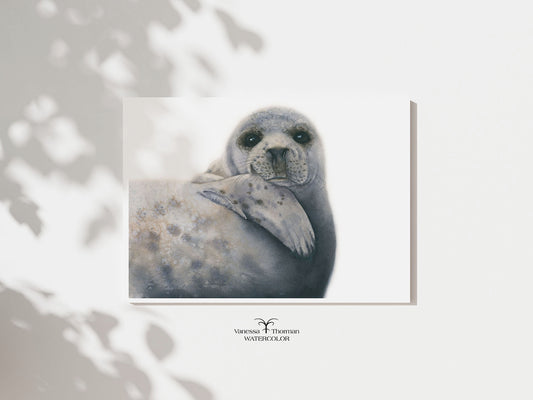 "Albus" Grey Seal watercolor art print, unframed, by Vanessa Thorman