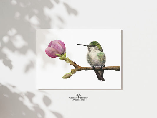"Hummingbird in Bloom" Anna's Hummingbird watercolor art print by Vanessa Thorman, unframed