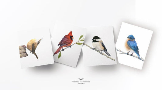 Birds of the Carolinas watercolor notecard set with 8 blank folded cards