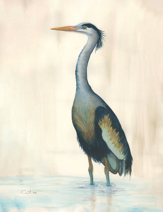 "Marsh Heron in Blue" watercolor art print by Vanessa Thorman
