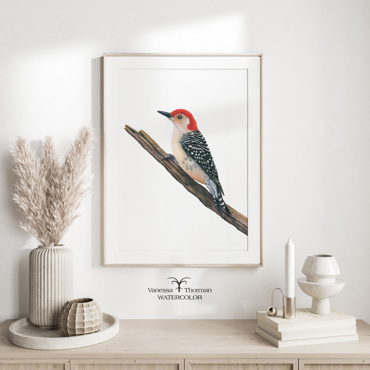 Framed Red-Bellied Woodpecker watercolor art print by Vanessa Thorman