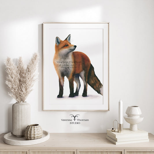 Framed Red Fox watercolor art print by Vanessa Thorman, alternate view