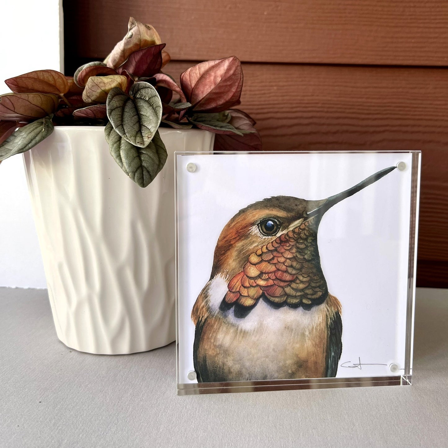 Alternate view of Rufus the Rufous Hummingbird acrylic block art print