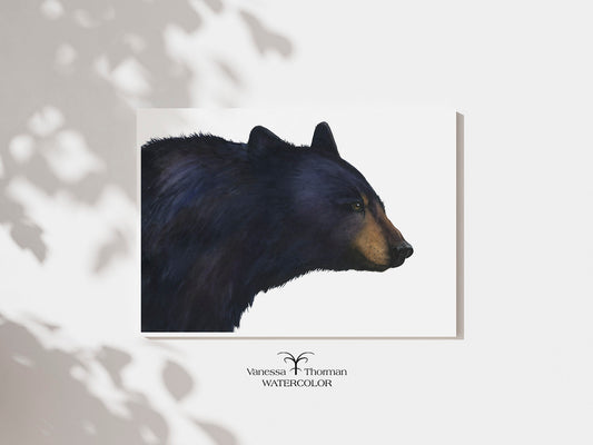 "Shenandoah" black bear watercolor art print, unframed, by Vanessa Thorman