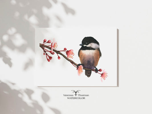 "Spring Chickadee" watercolor art print, unframed, by Vanessa Thorman