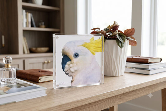 Lupita the Sulphur-Crested Cockatoo acrylic block art print displayed on a console table