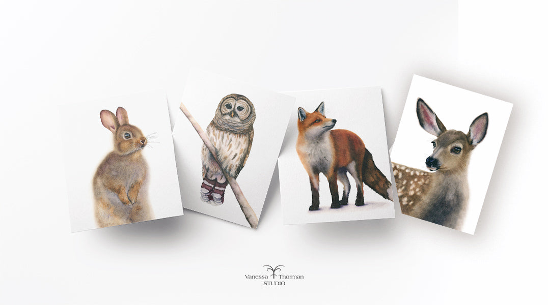 Four Woodland Animal watercolor notecard designs: fox, owl, rabbit, and deer