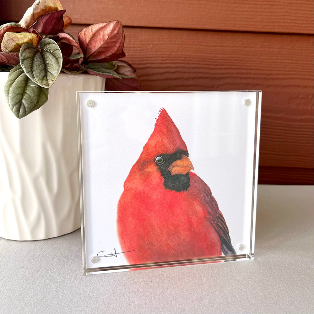 Collectible Desk Art - Hand-Signed Mini Prints