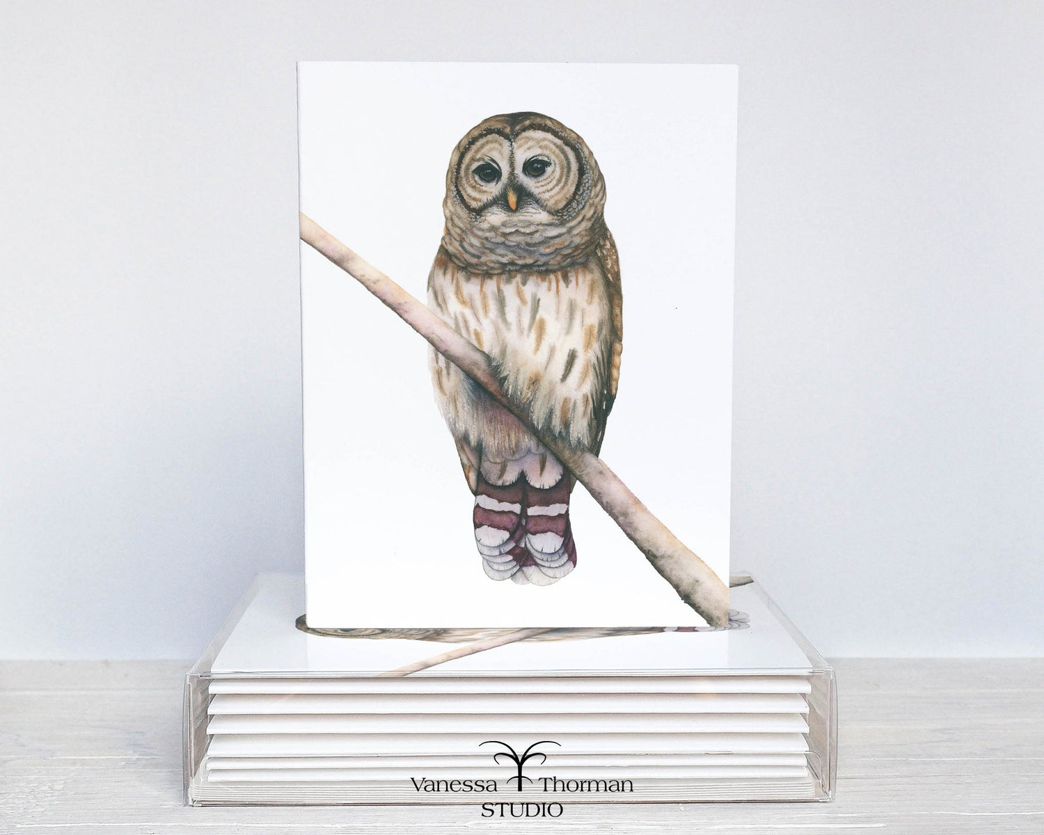 Note Cards & Stationery