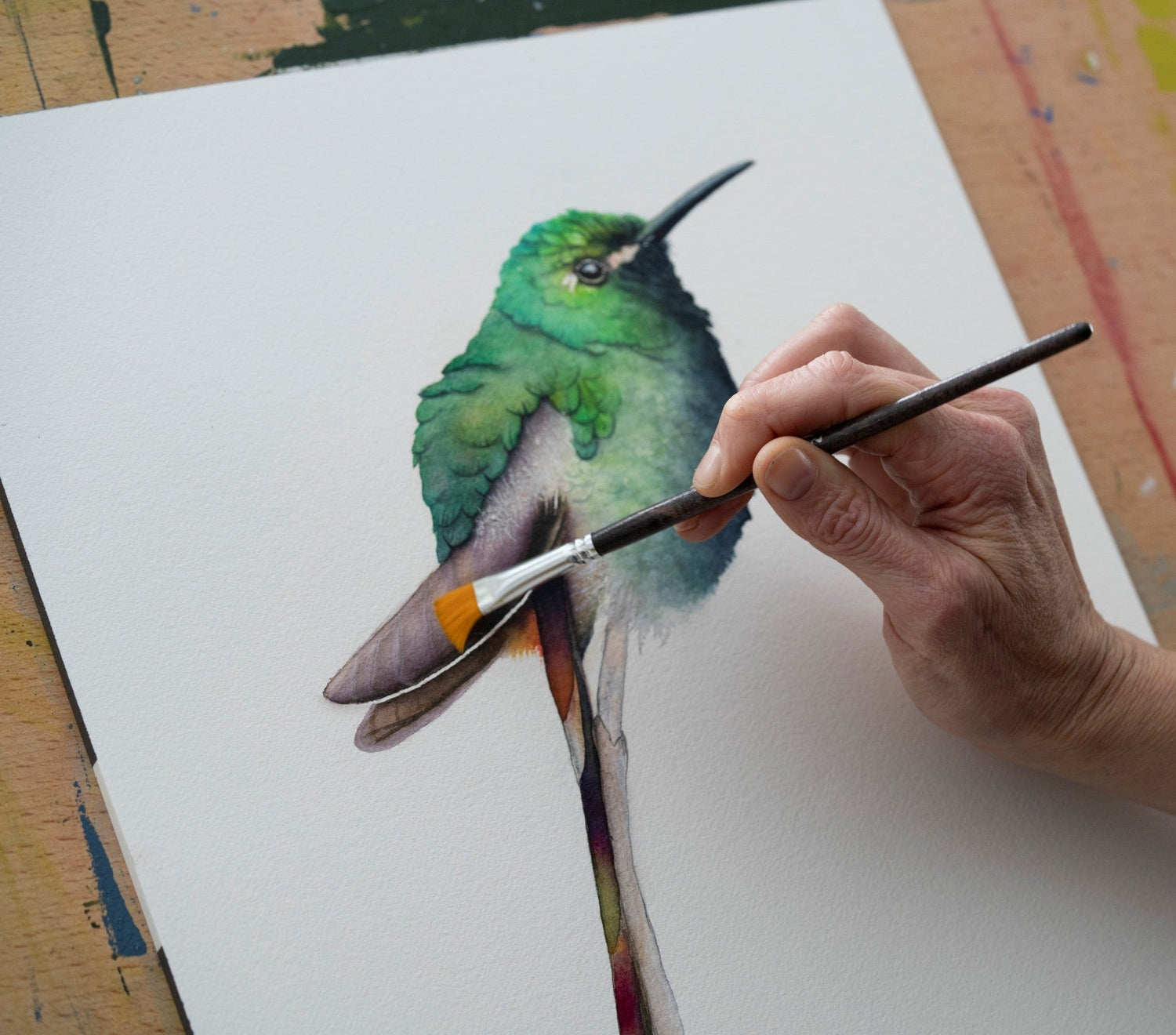 Original Watercolor Paintings