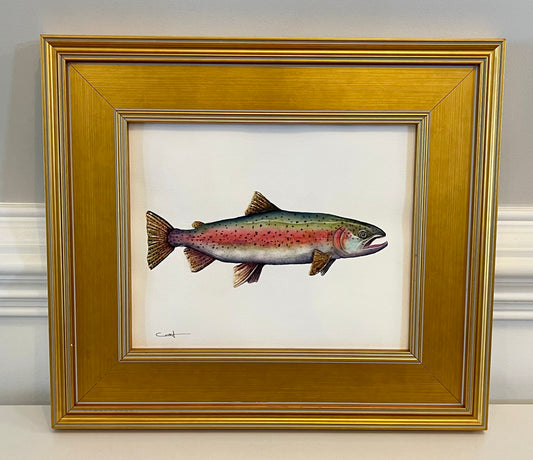 RAINBOW TROUT I | Fish Art | Original Watercolor Painting