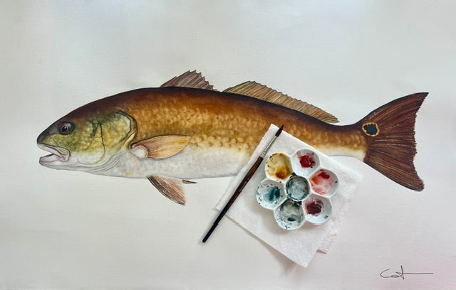 BIG RED | Redfish Painting