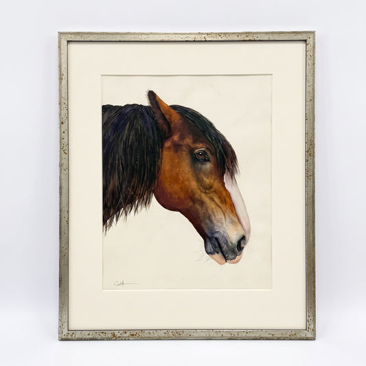 HANDSOME HARRY | Horse Painting