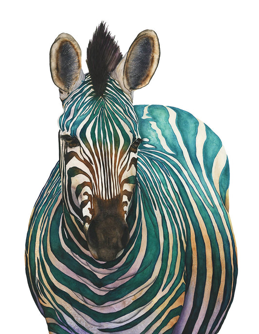 JADE | Zebra Art | Original Watercolor Painting