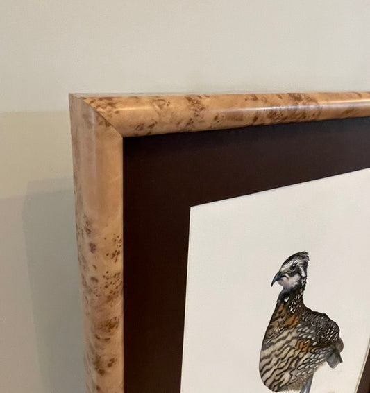 MR. BINGLEY | Northern Bobwhite Quail Art | Original Watercolor Painting