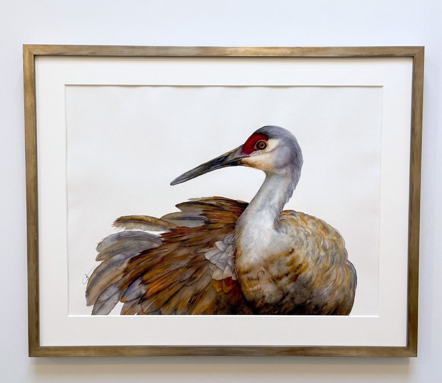 A framed watercolor painting of a sandhill crane by Vanessa Thorman, featuring a white mat and a natural wood frame on a white wall.