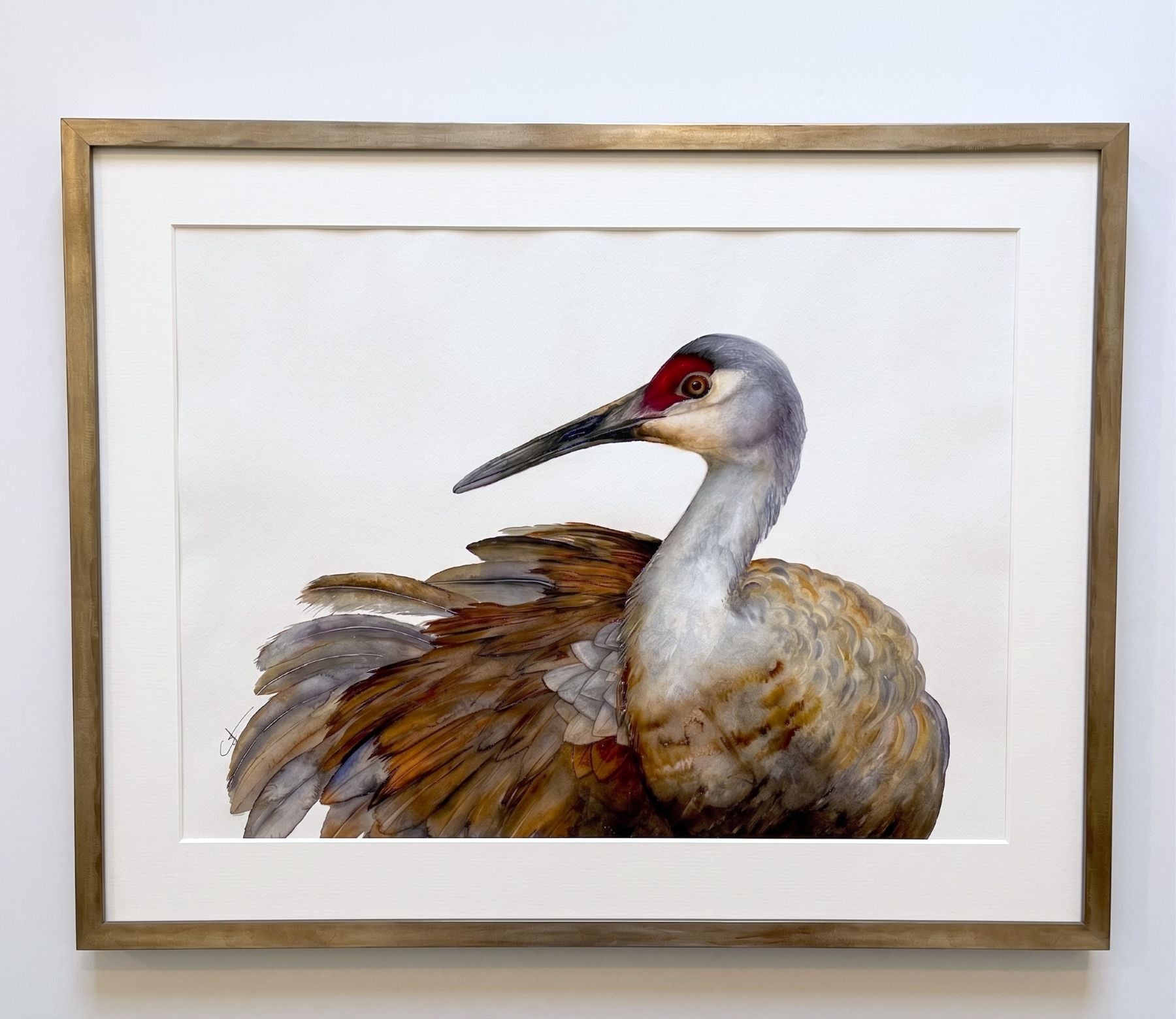 A framed watercolor painting of a sandhill crane by Vanessa Thorman, featuring a white mat and a natural wood frame on a white wall.