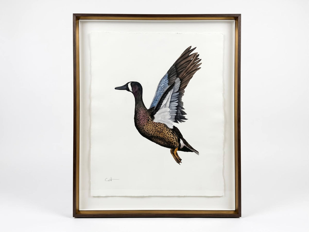 BLUE-WINGED TEAL DRAKE | Flying Duck Art