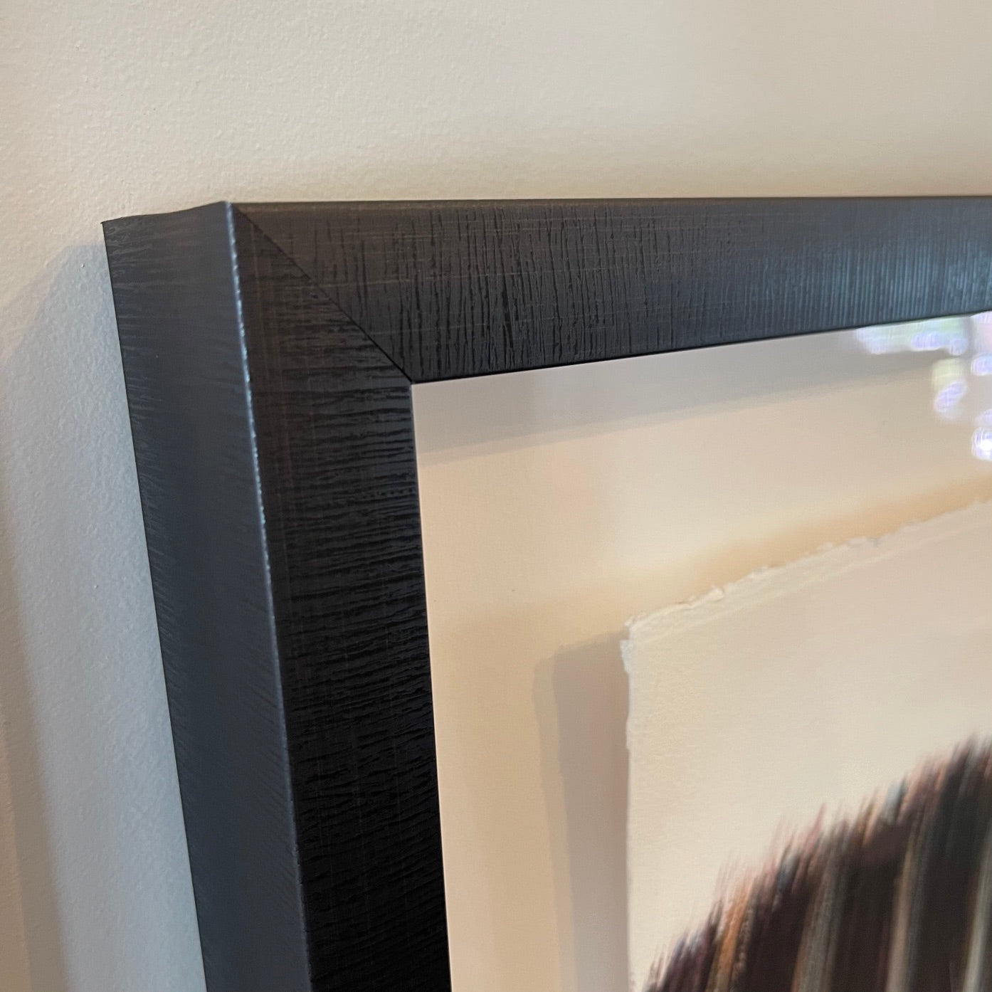 Close up image of the frame for Caesar