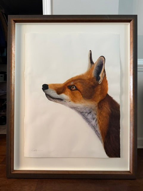 GREAT EXPECTATIONS | Fox Art