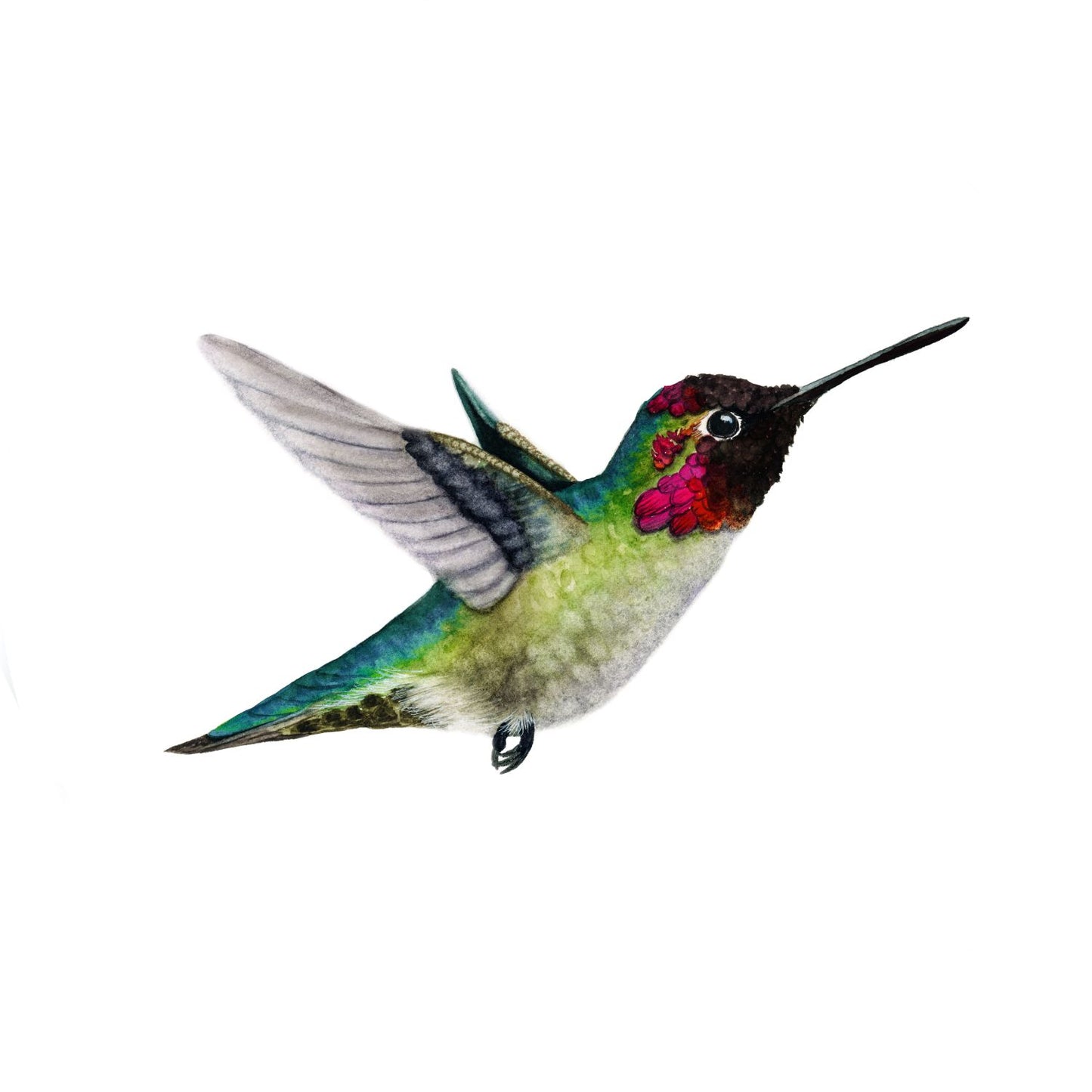 TINY DANCER | Hummingbird Art | Original Watercolor Painting