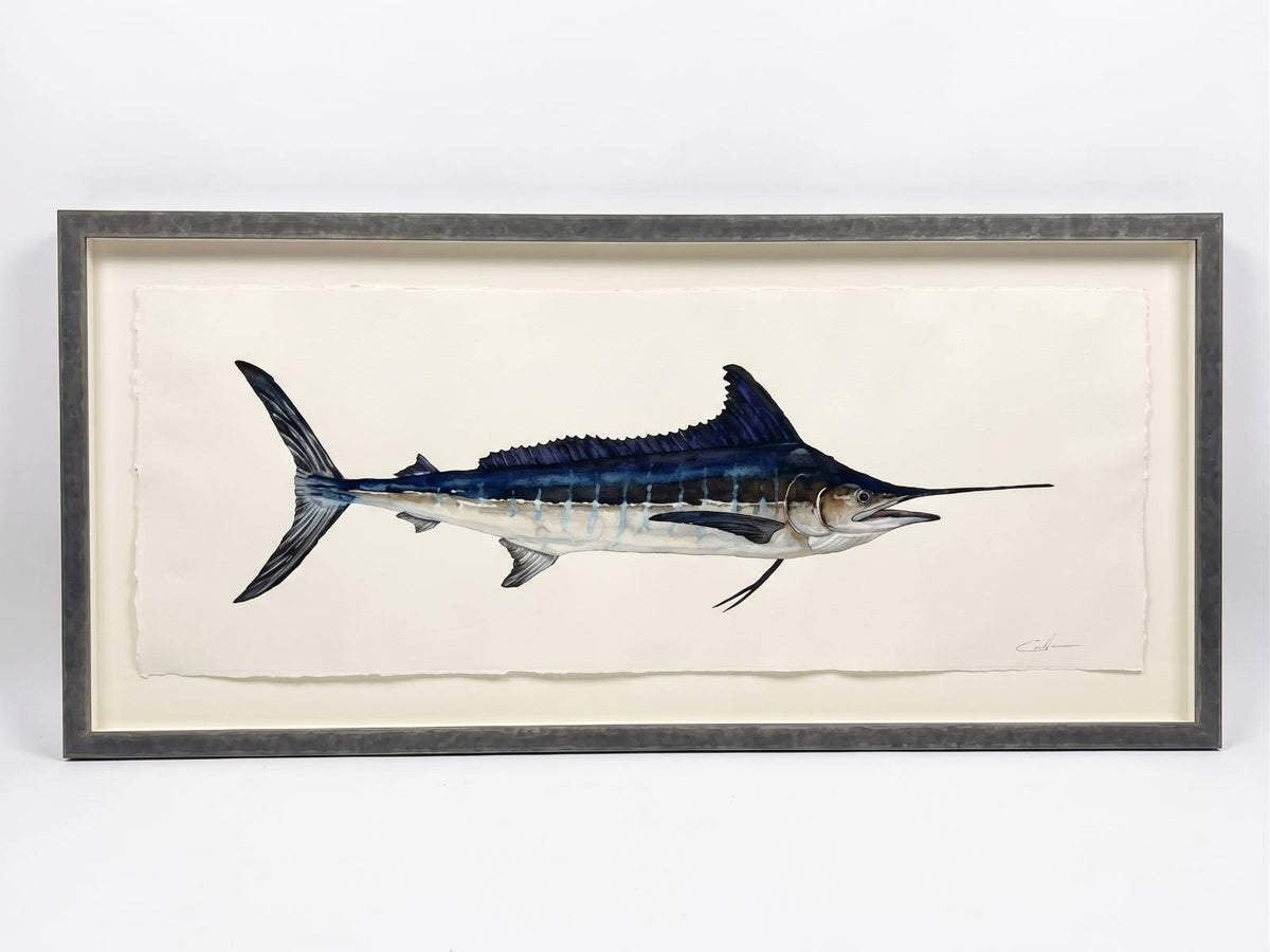 OFF THE HOOK | Blue Marlin Art
