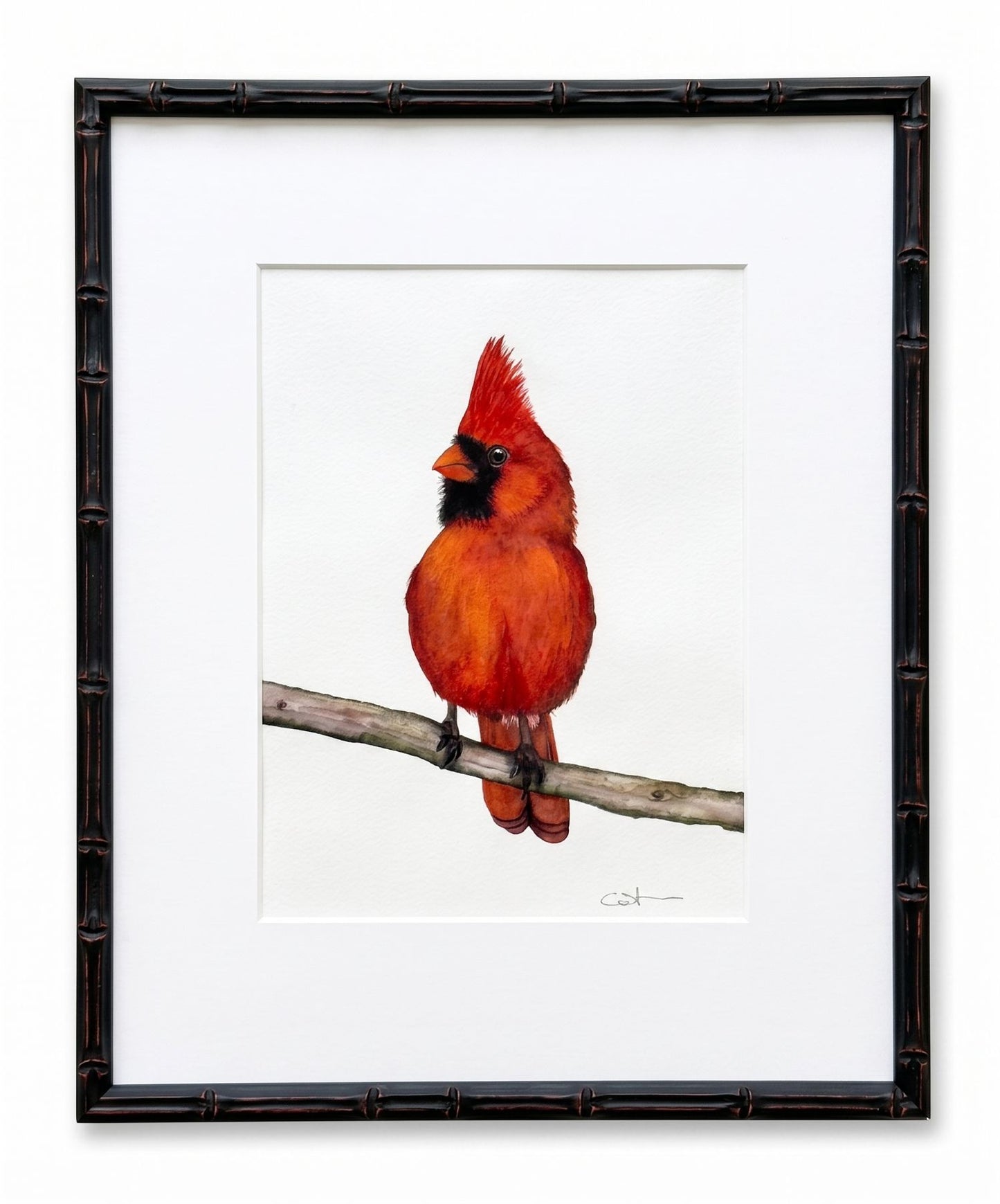 PERCY | Northern Cardinal Art | Original Watercolor Painting