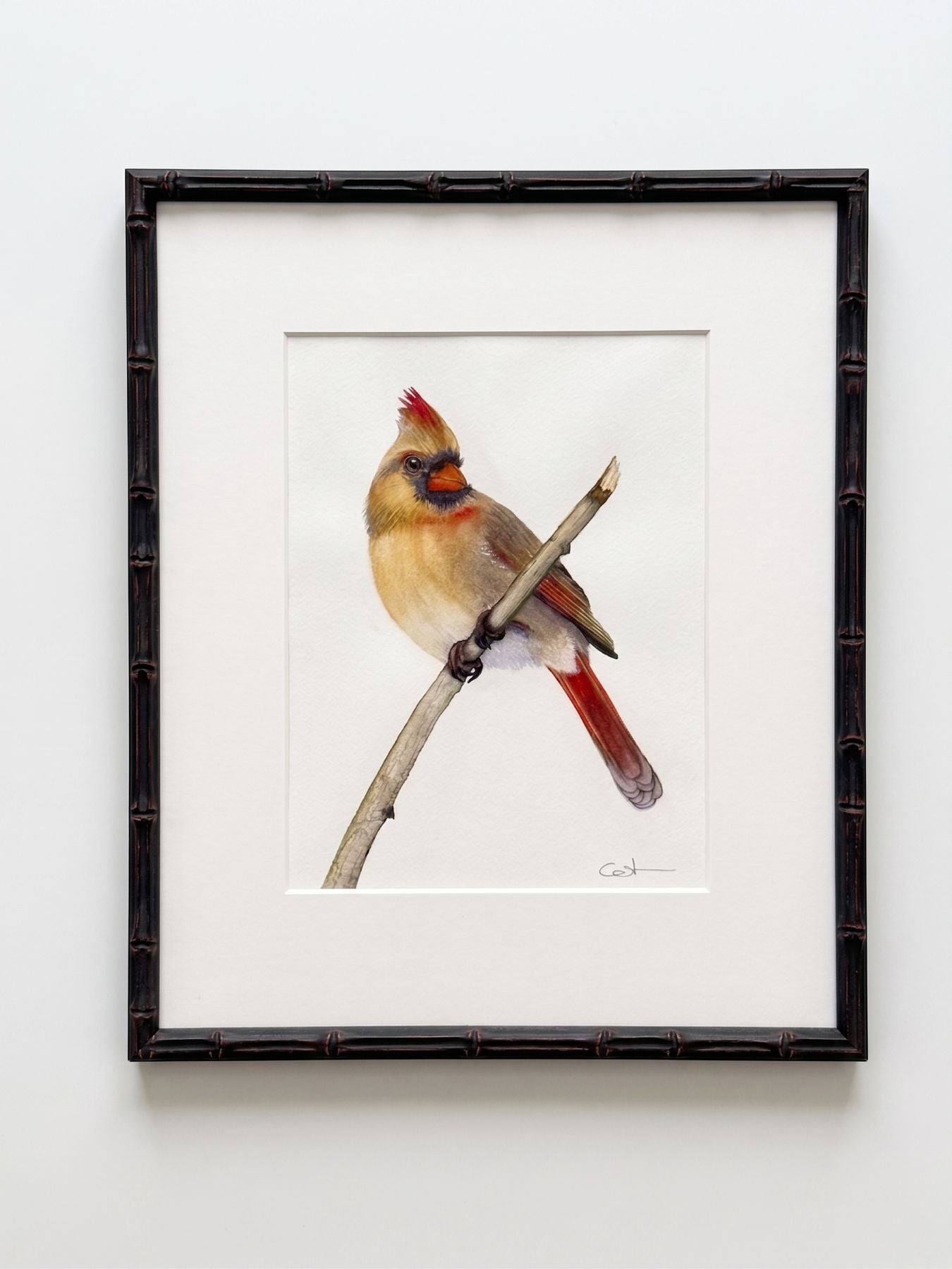 PETUNIA| Northern Cardinal Art | Original Watercolor Painting