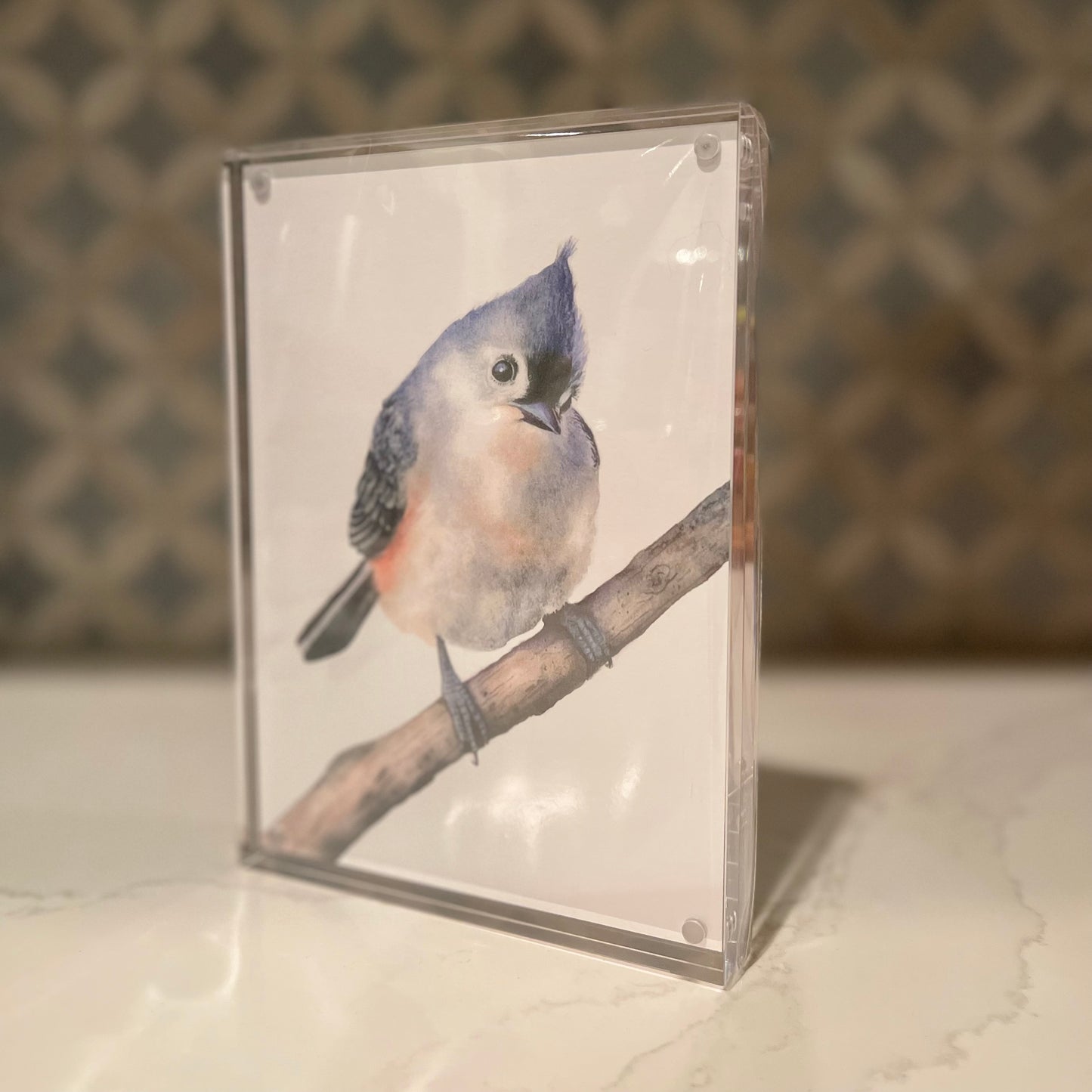 Tufted Titmouse Watercolor Art in Acrylic Block Frame – 5x7 Fine Art Print