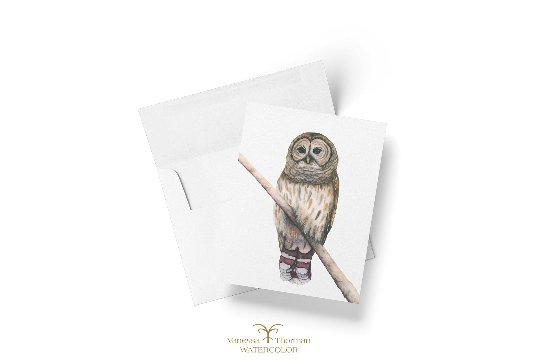 Watercolor notecard featuring a Barred Owl by Vanessa Thorman, shown with envelope