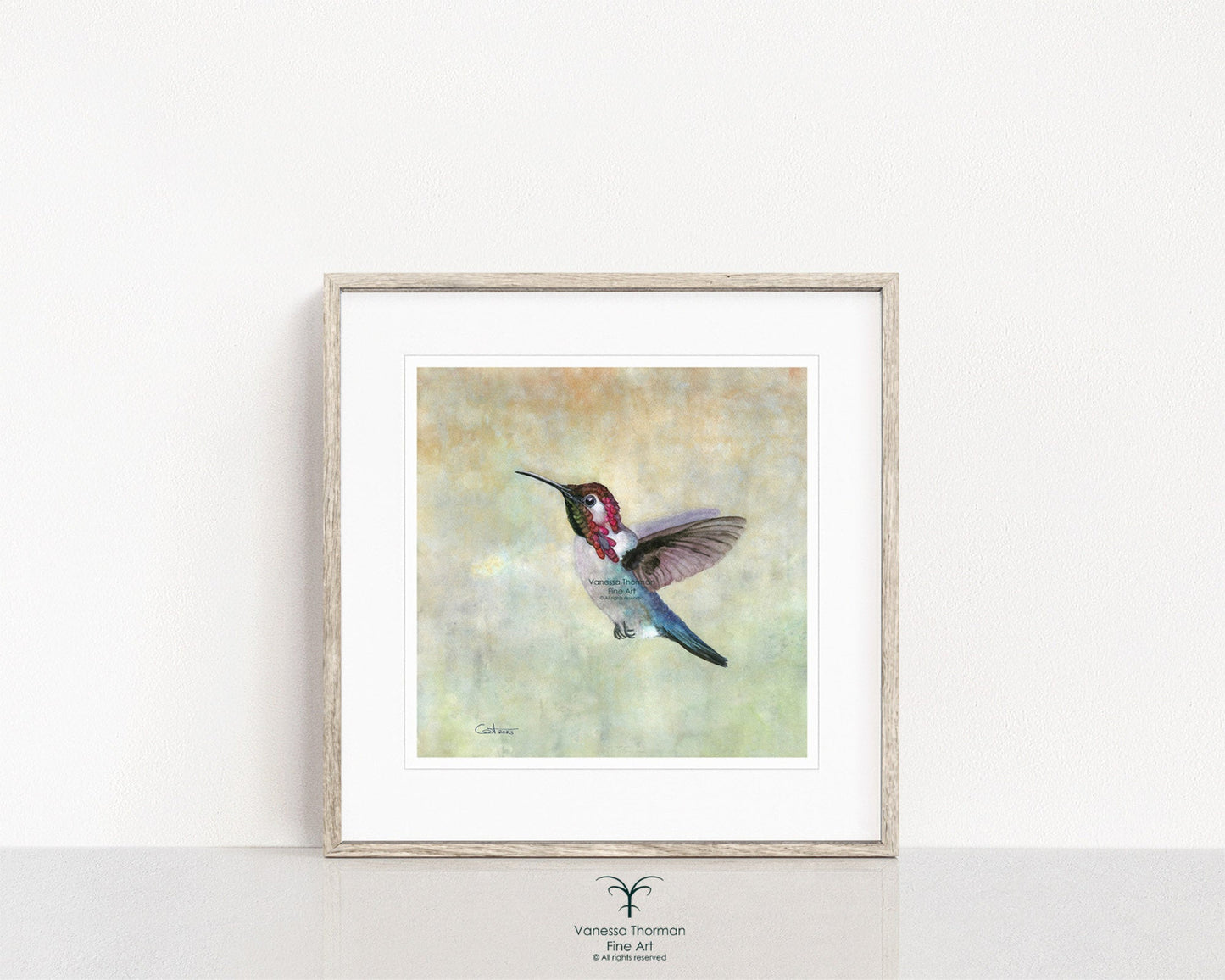 Framed Bee Hummingbird watercolor art print by Vanessa Thorman
