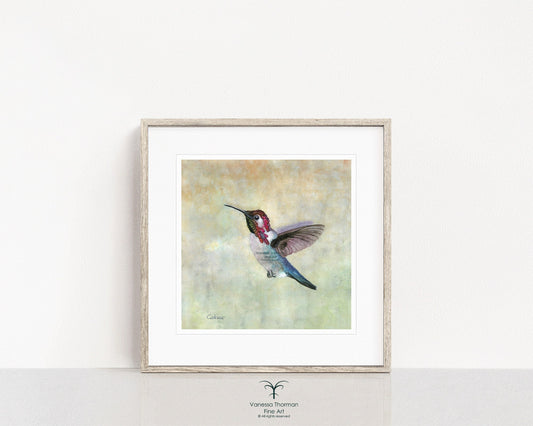 Framed Bee Hummingbird watercolor art print by Vanessa Thorman